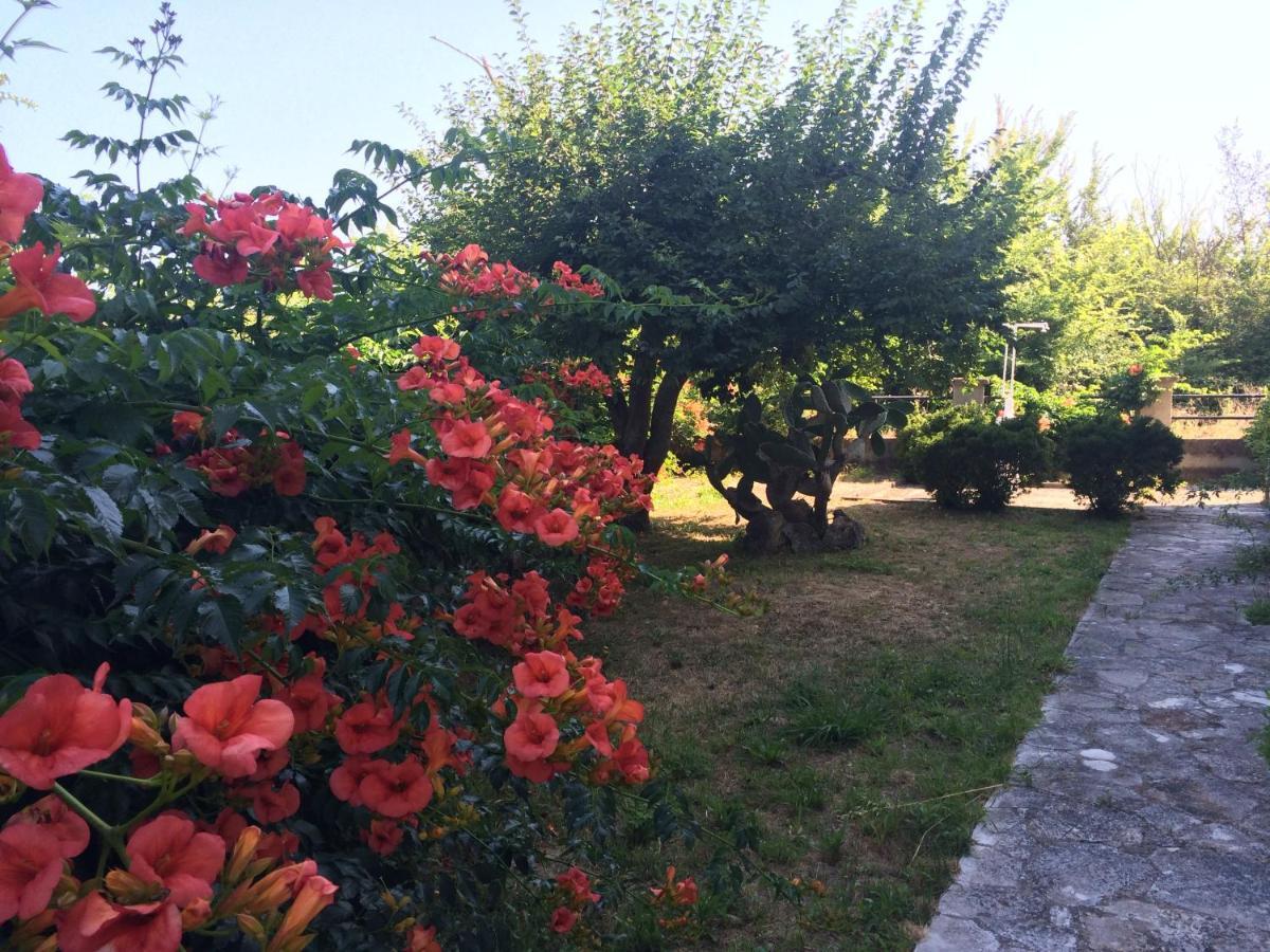 Villa-Toula Róda Kültér fotó